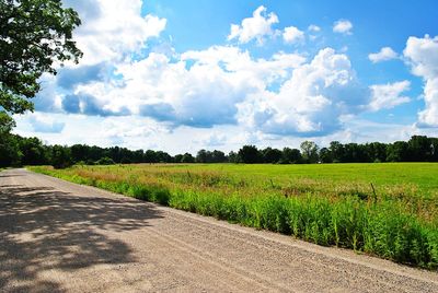 Scenic view of agricultural field against sky