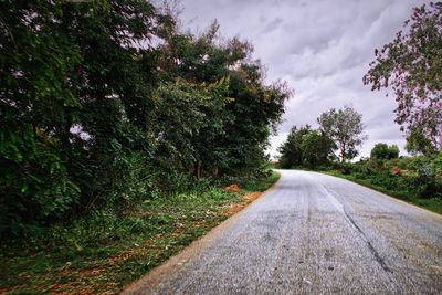 Empty road amidst trees against sky