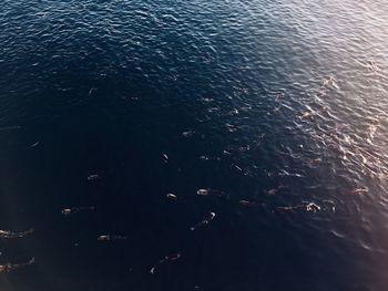 Full frame shot of rippled water