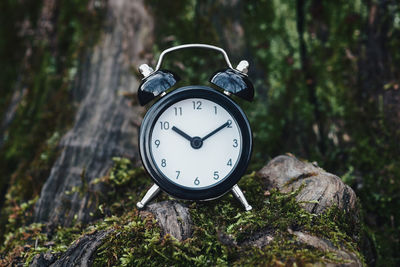 Clock in the forest, time-break, spending time in nature and flow of time concept