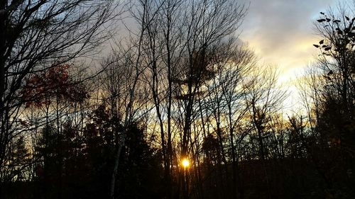 Low angle view of bare trees against cloudy sky