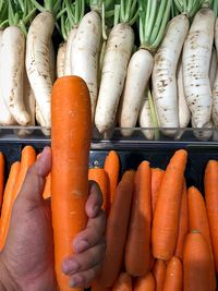 Carrot for sale at market stall