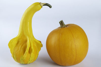 Close-up of oranges against white background