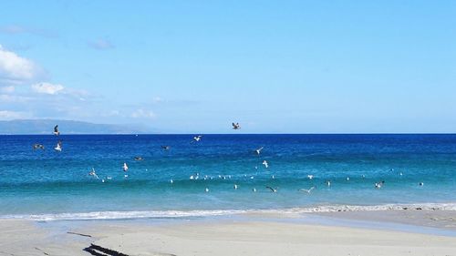 Scenic view of sea against blue sky