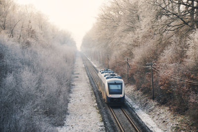 Railroad tracks by road amidst trees