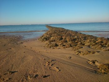 Scenic view of beach