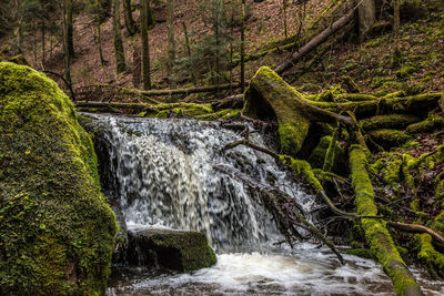 Scenic view of waterfall in forest