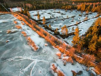 View of lake in forest during winter