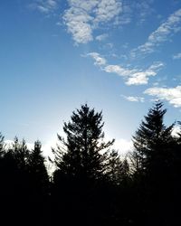 Low angle view of silhouette trees against sky