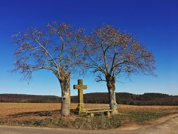 Bare tree on field against clear blue sky