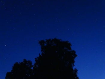 Low angle view of silhouette trees against clear blue sky at night