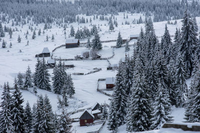 High angle view of trees and houses on snow covered landscape