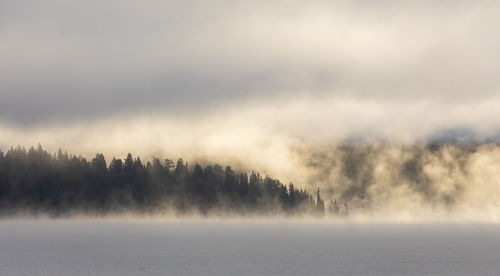 Thick fog over calm lake and tree lined shore during sunrise