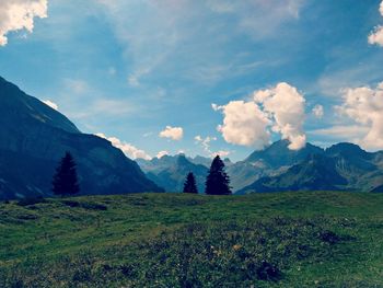 Scenic view of field against sky