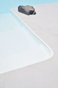 High angle view of turtle in swimming pool