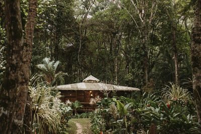 Small wooden building for recreation among green colorful exotic plants and big trees on sunny day