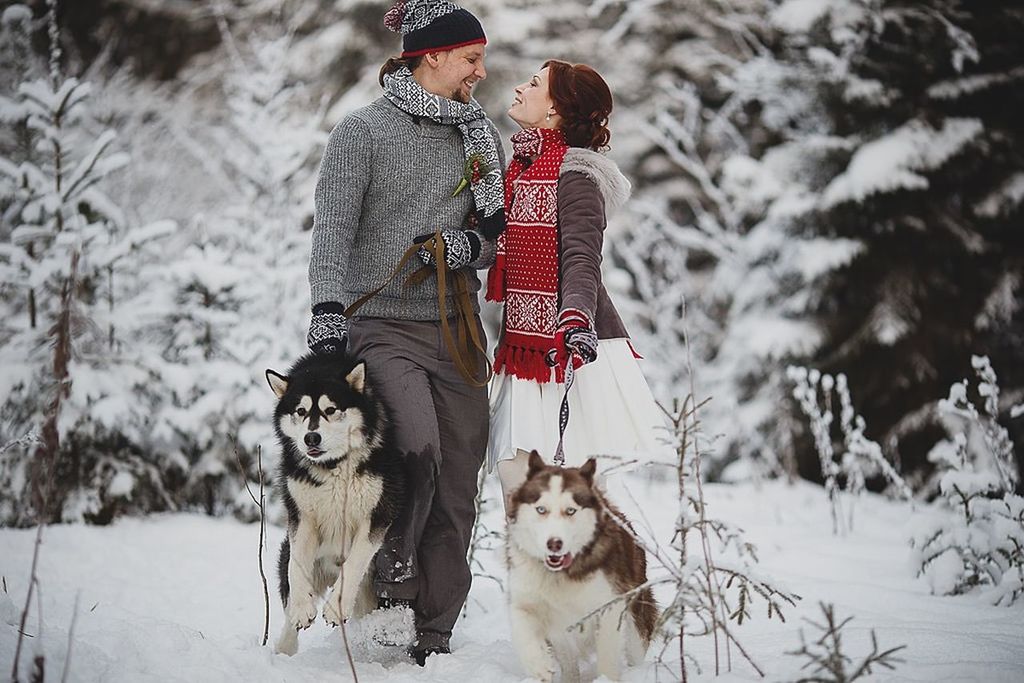 snow, winter, cold temperature, animal themes, domestic animals, mammal, one animal, dog, lifestyles, pets, leisure activity, full length, men, season, riding, weather, warm clothing, focus on foreground