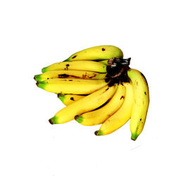 Close-up of yellow fruit against white background