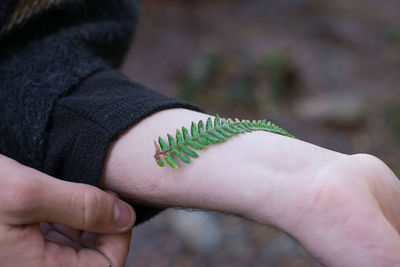 Close-up of leaf on hand