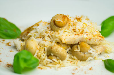 Close-up of fresh healthy meal served in plate