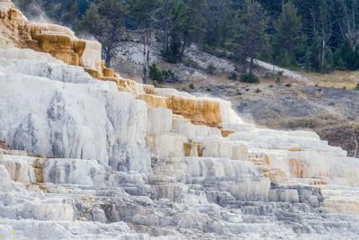 View of rocks in the forest