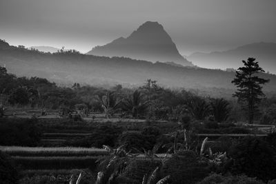 Black and white photo, panoramic view of rice terraces in the morning with beautiful mountains