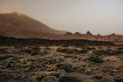 Scenic view of desert against sky