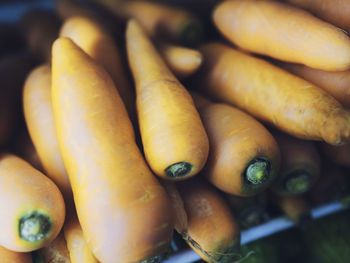 Carrots stack