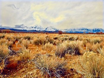 Scenic view of snowcapped field against sky