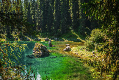 Lake carezza, the lake is located in the western dolomites in italy.