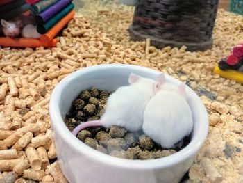 High angle view of food in bowl