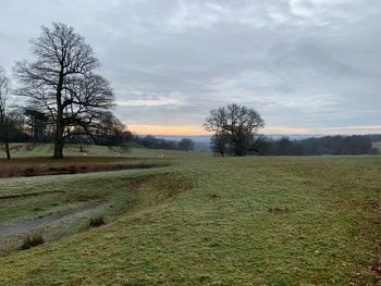 Bare trees on field against sky