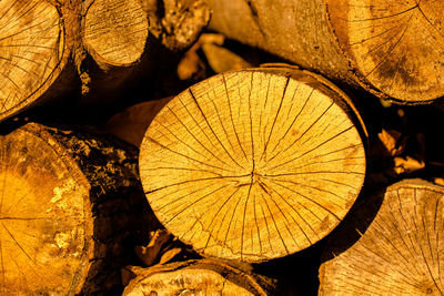 Full frame shot of logs in forest