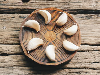 High angle view of shells on table