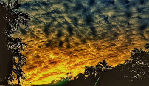 Low angle view of silhouette trees against sky during sunset