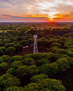 Scenic view of trees against cloudy sky