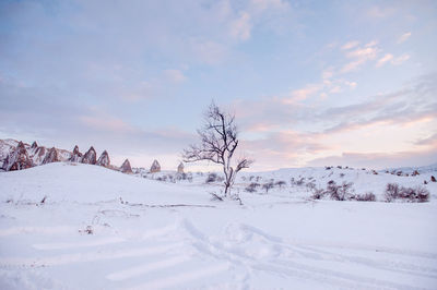 Bare trees on snow covered land against sky