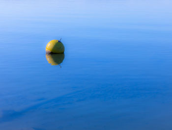 View of yellow floating on sea