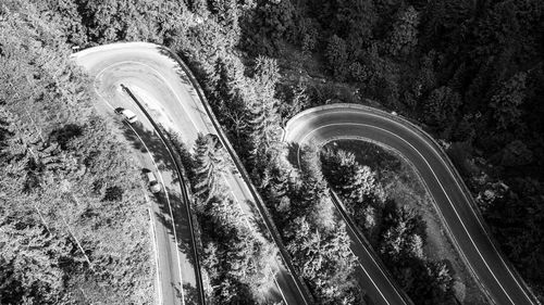 High angle view of road amidst trees