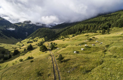 Scenic view of green landscape against sky