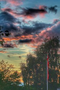 Silhouette of trees against cloudy sky at sunset