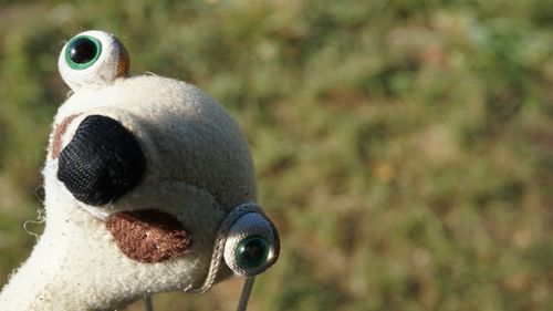 High angle view of stuffed toy against grass