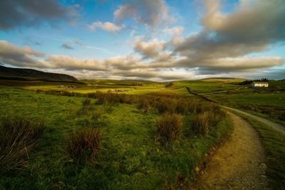 Scenic view of field against sky