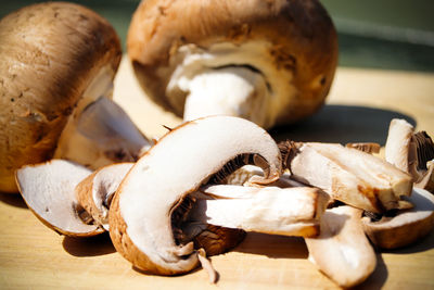 Close-up of mushrooms on table