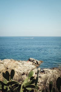 Scenic view of sea against clear sky