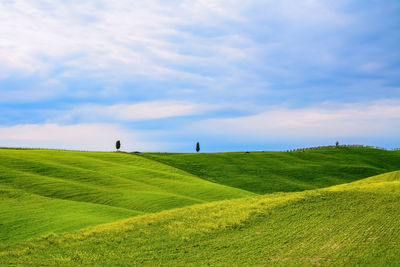 Scenic view of grassy field against cloudy sky