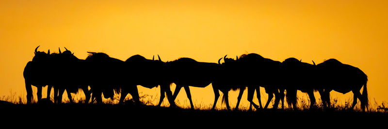 Silhouette people on field against orange sky during sunset