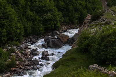 Scenic view of stream flowing through rocks in forest