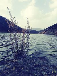 Scenic view of lake against sky