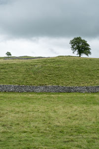 Scenic view of field against cloudy sky